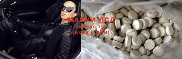прущие грибы Россошь