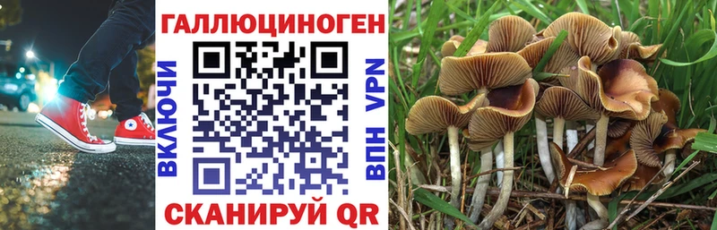 Галлюциногенные грибы мухоморы  цена наркотик  Шенкурск 