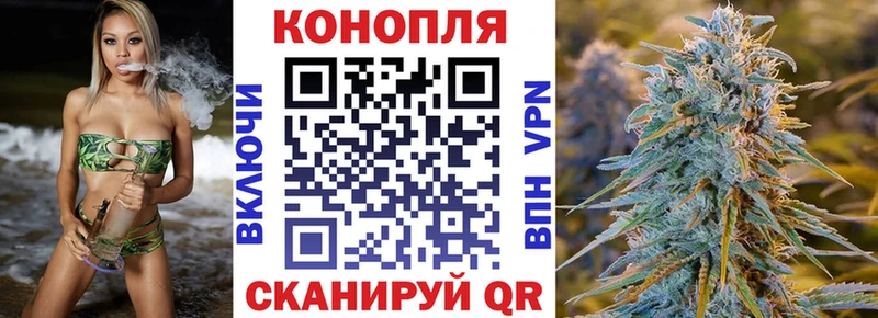 Бошки марихуана Amnesia  дарнет шоп  Шенкурск 